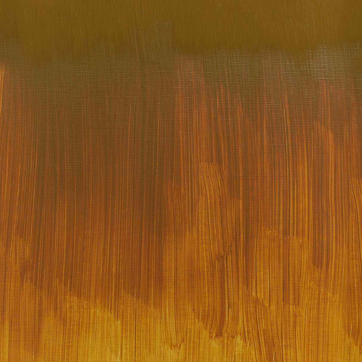 Winsor & Newton Winton Oils 37ml Tubes