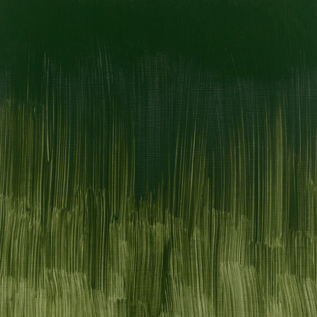 Winsor & Newton Winton Oils 37ml Tubes