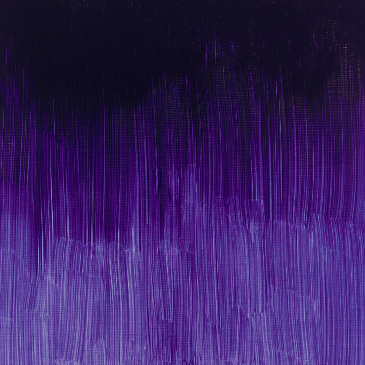 Winsor & Newton Winton Oils 37ml Tubes