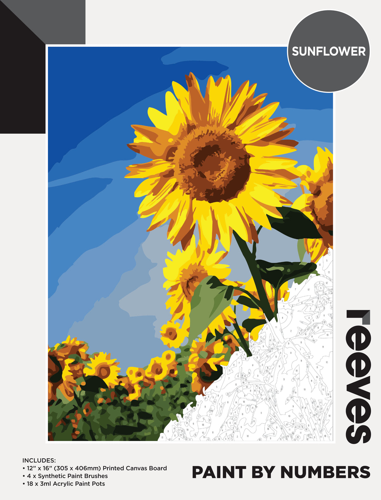 Reeves Paint By Numbers - Sunflower