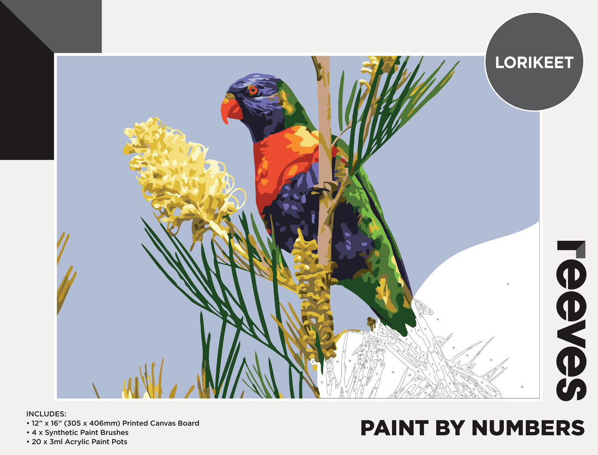 Reeves Paint By Numbers - Lorikeet