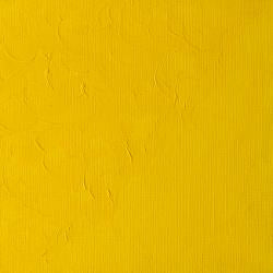 Winsor & Newton Winton Oils 37ml Tubes