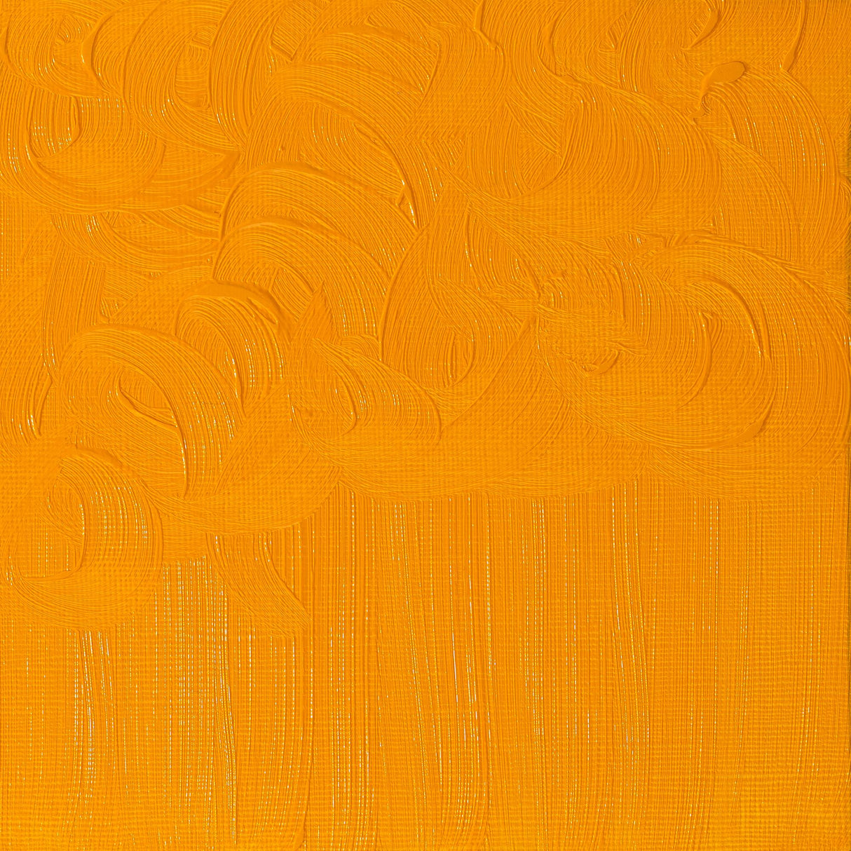 Winsor & Newton Winton Oils 37ml Tubes