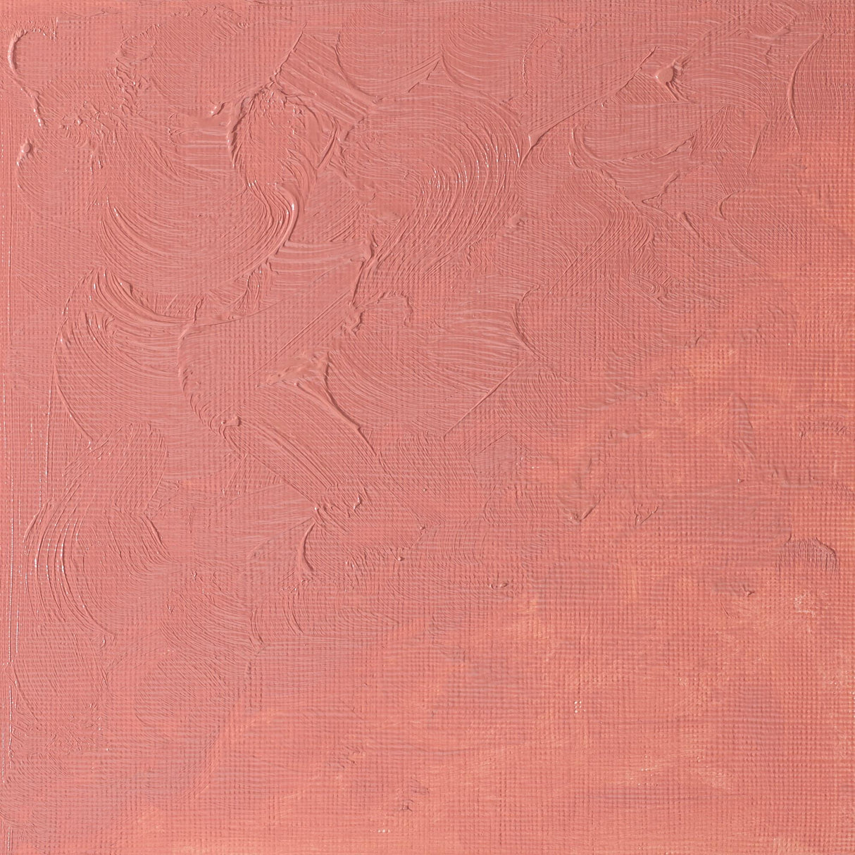 Winsor & Newton Winton Oils 37ml Tubes