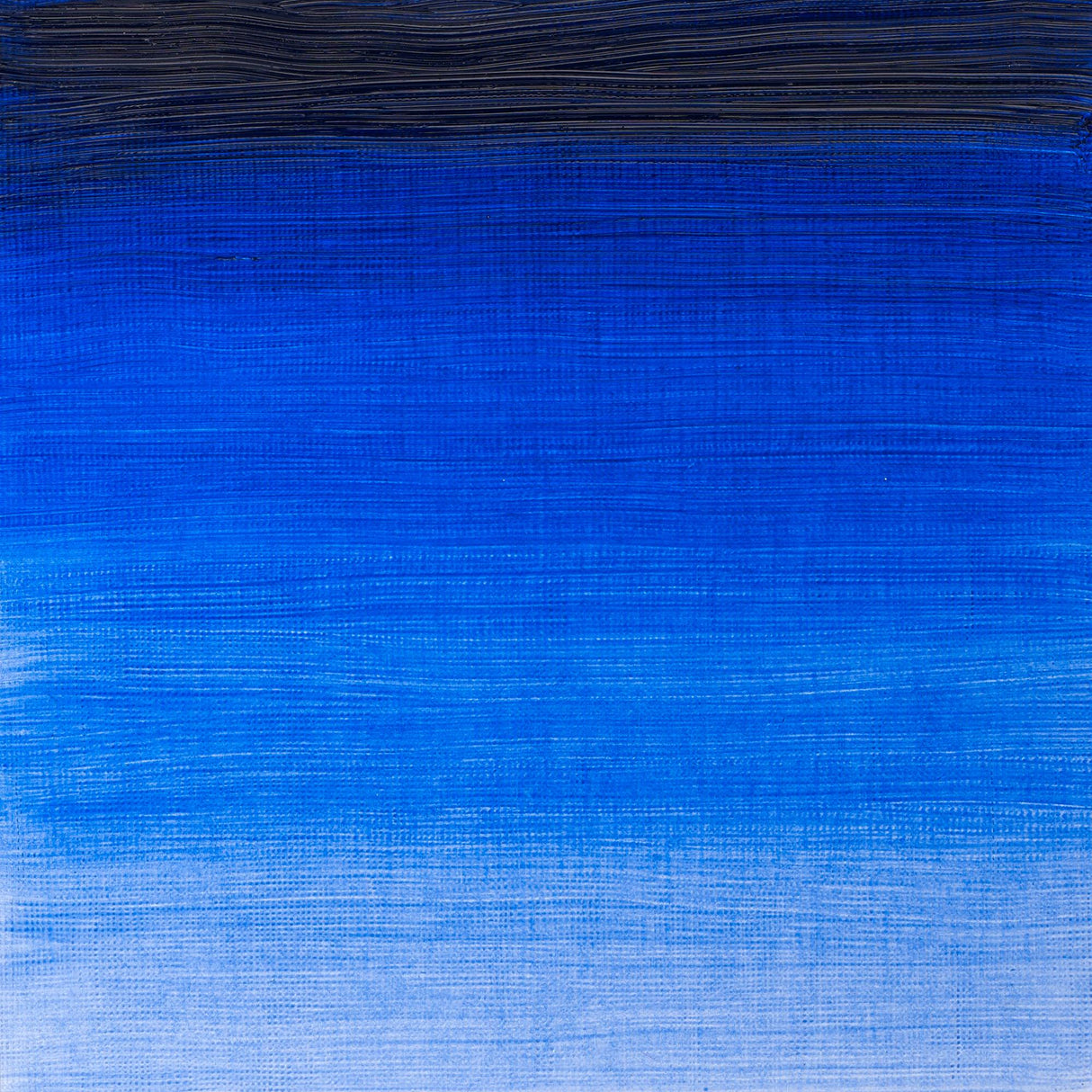 Winsor & Newton Winton Oils 37ml Tubes