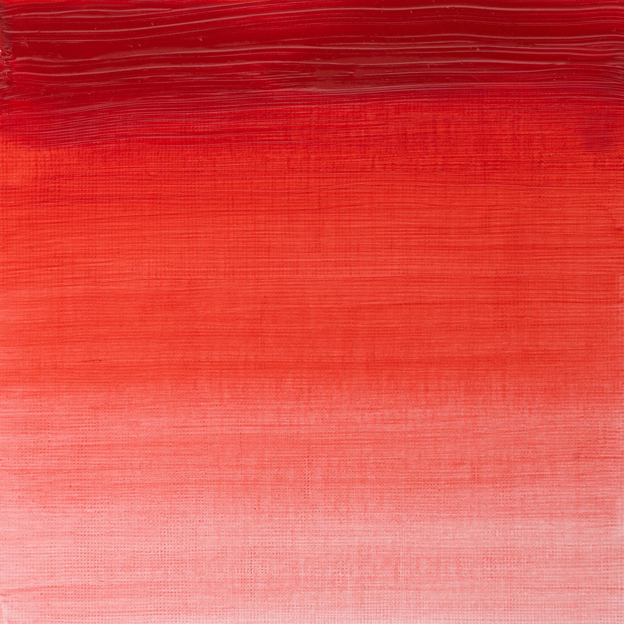 Winsor & Newton Winton Oils 37ml Tubes