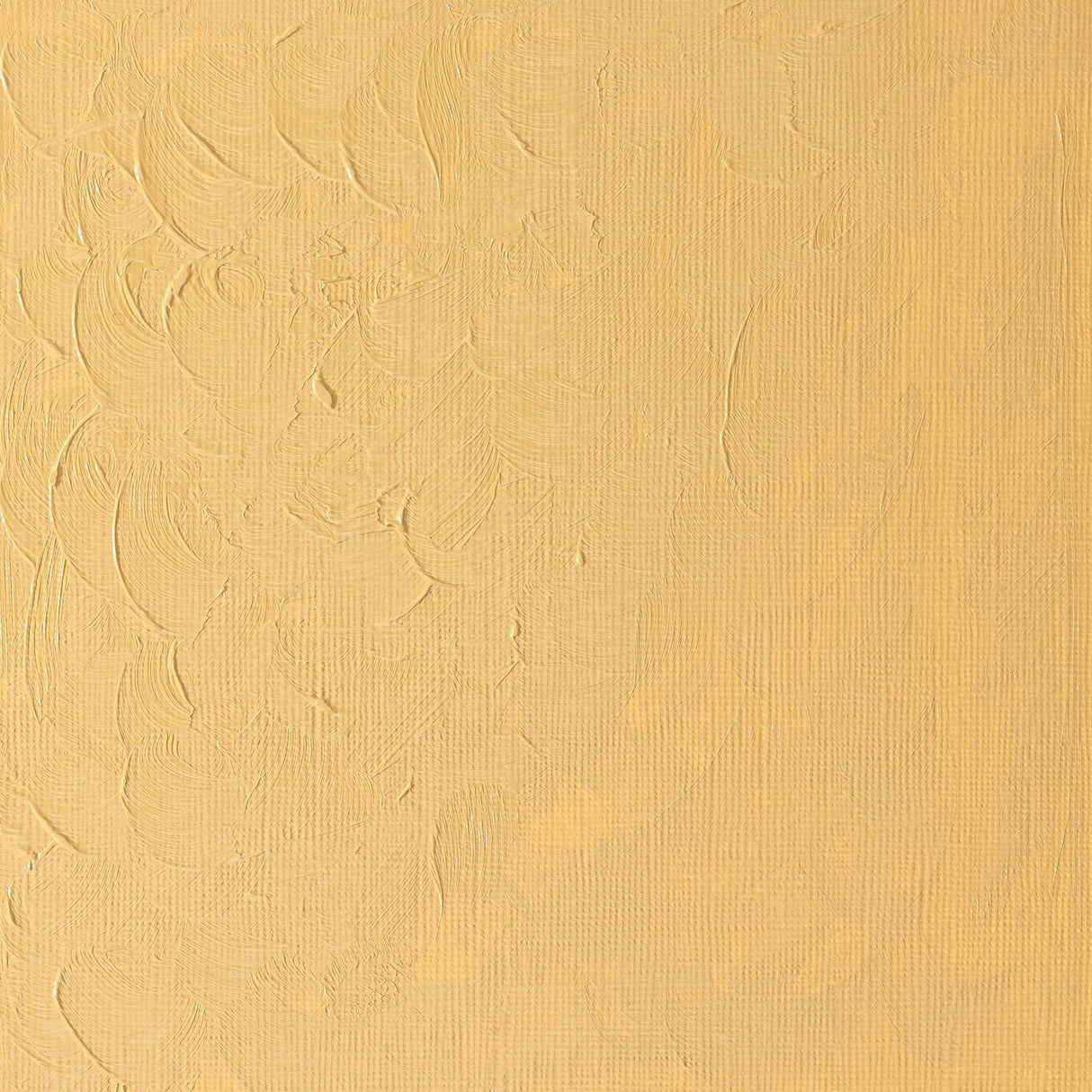 Winsor & Newton Winton Oils 37ml Tubes