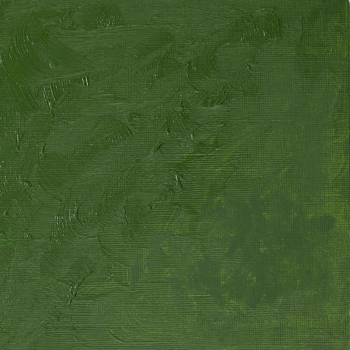 Winsor & Newton Winton Oils 37ml Tubes