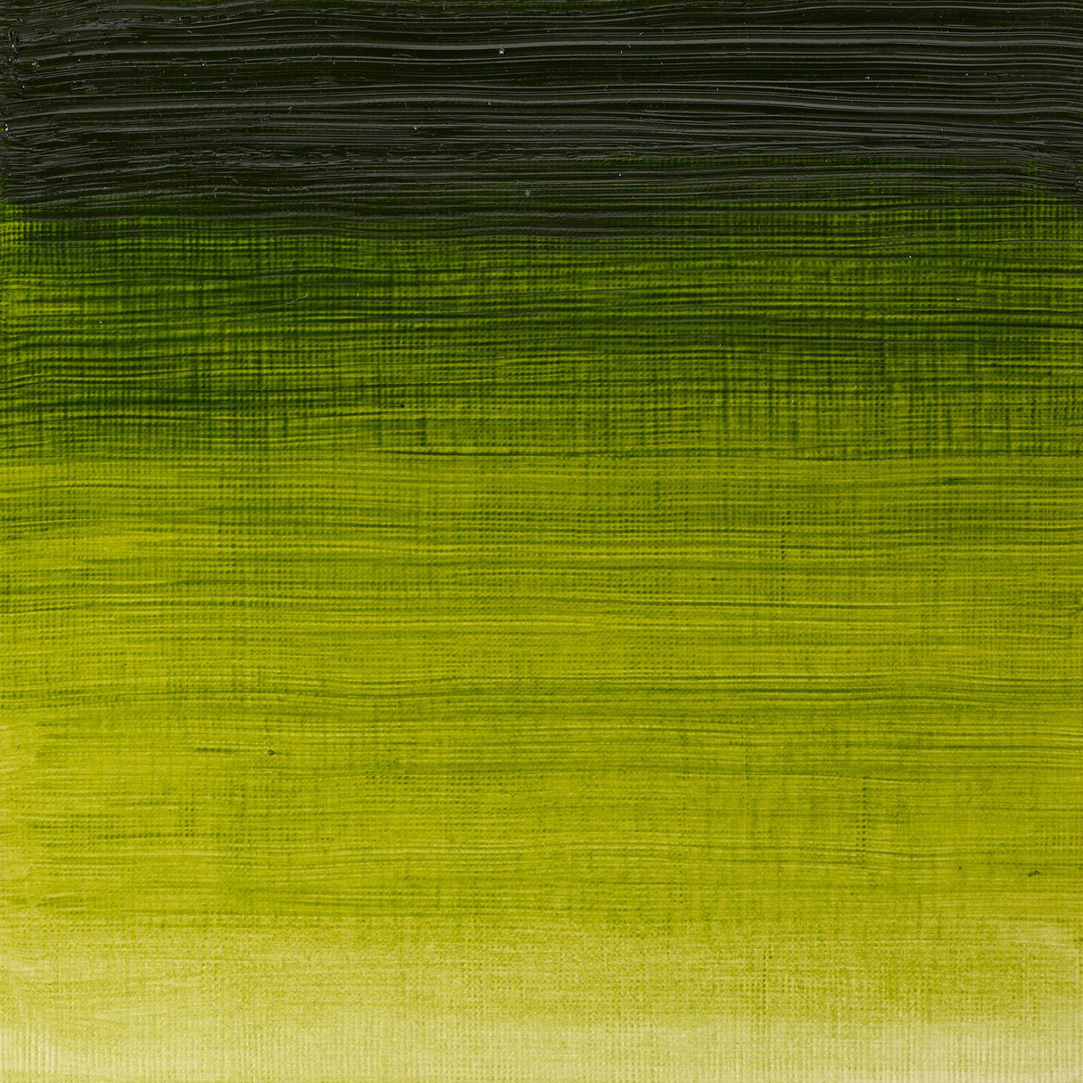 Winsor & Newton Winton Oils 37ml Tubes