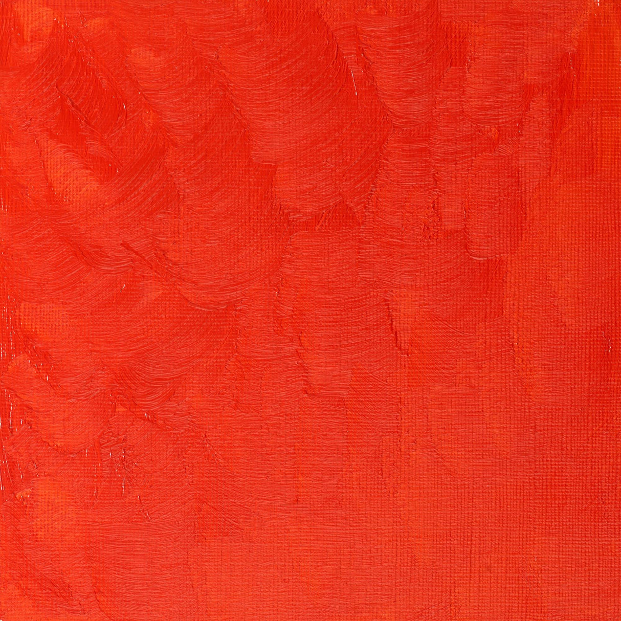 Winsor & Newton Winton Oils 37ml Tubes