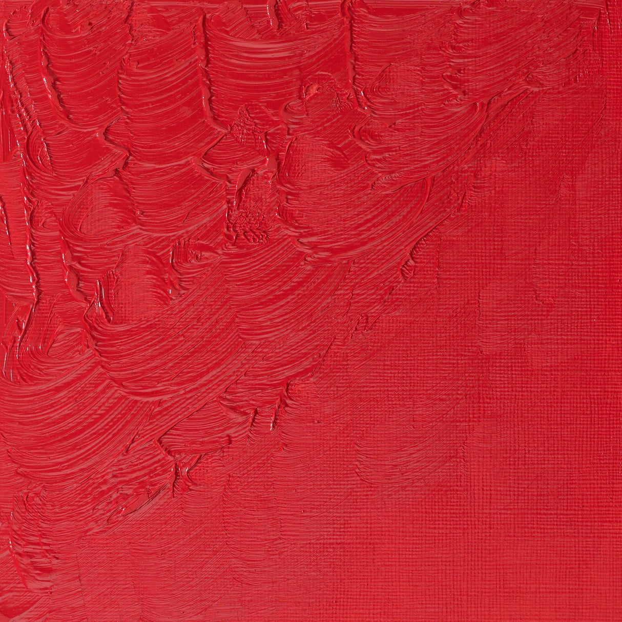 Winsor & Newton Winton Oils 37ml Tubes