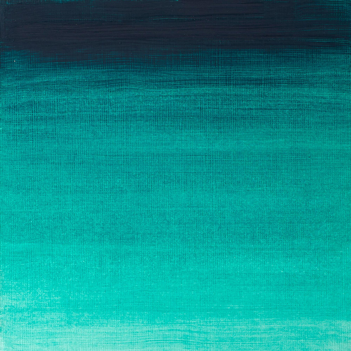 Winsor & Newton Winton Oils 37ml Tubes