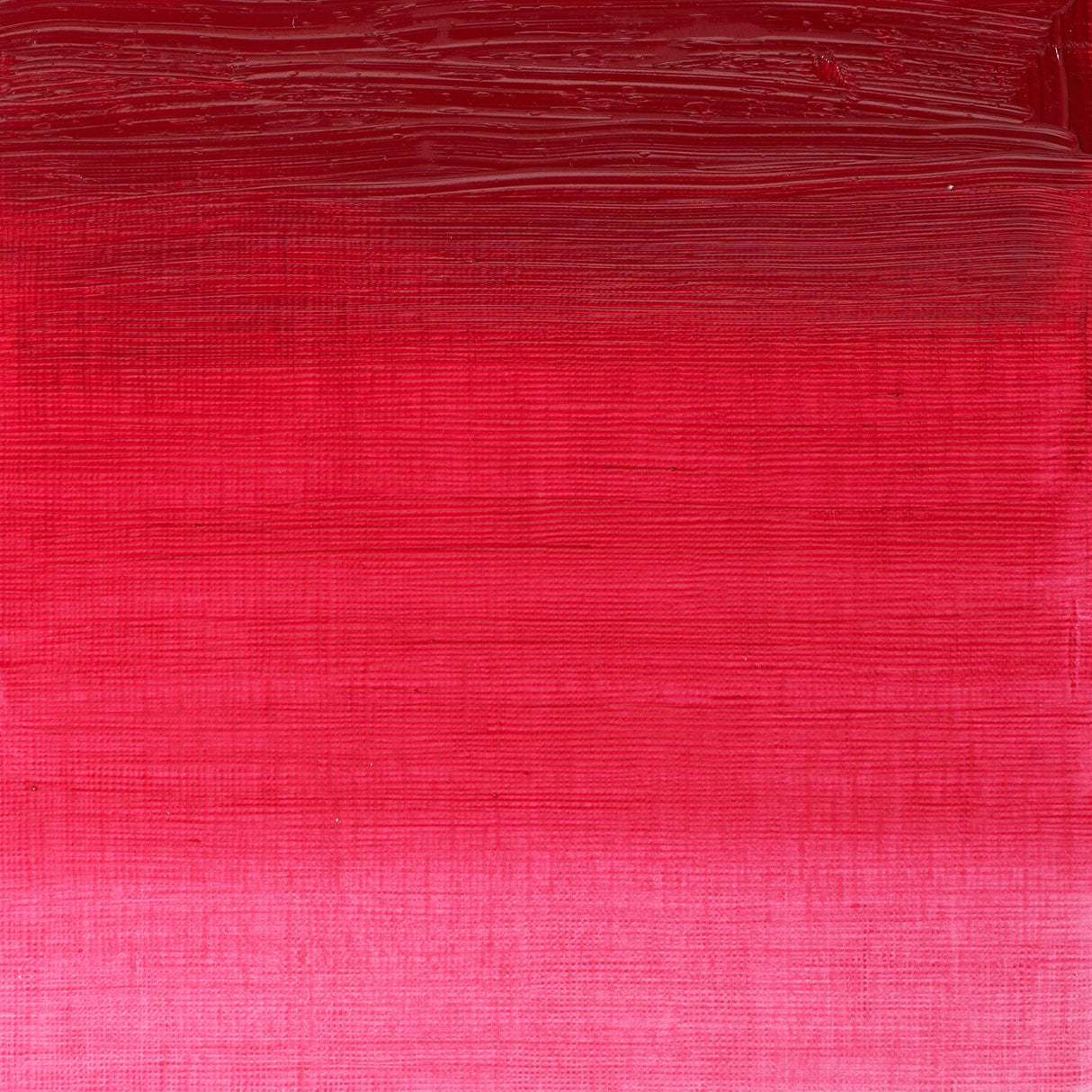 Winsor & Newton Winton Oils 37ml Tubes