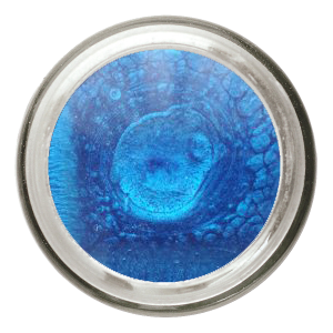 A1 Pigments Colour & Pigmentation Series - 20 gram