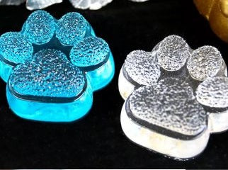 MAD Paw Print Resin Mould #155