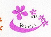 Zig Calligraphy Markers