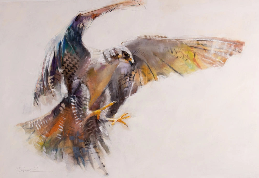 PanPastel Dawn Emerson 40 Colour Set