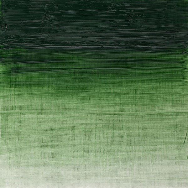 Winsor & Newton Artists' Oils 37ml Tubes