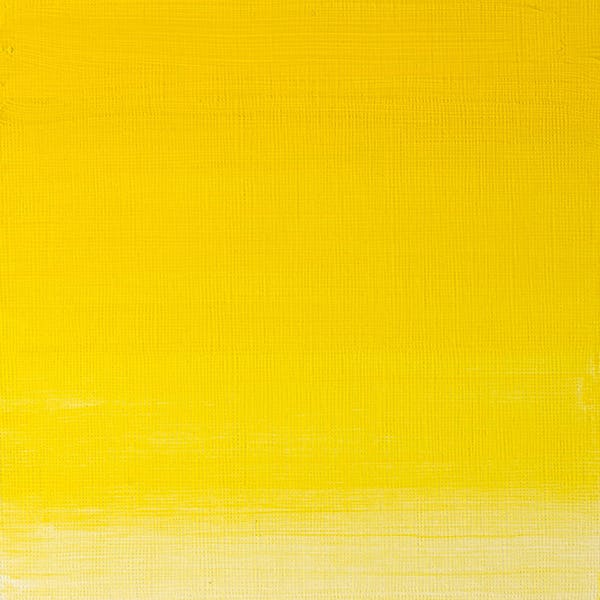 Winsor & Newton Artists' Oils 37ml Tubes