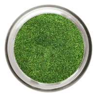 A1 Pigments - Glitter Series - 20 gram