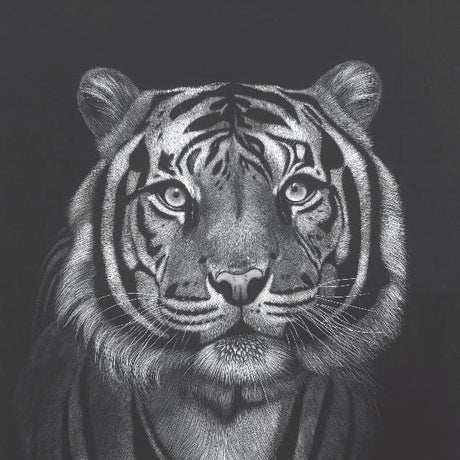 SCRATCHBOARDS