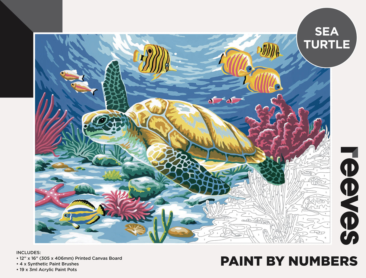 Reeves Paint By Numbers - Sea Turtle