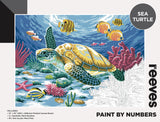 Reeves Paint By Numbers - Sea Turtle