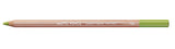 Caran d'Ache Pastel Pencils