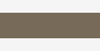Caran d'Ache Pablo Pencils - Color - COCOA 405