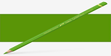Caran d'Ache Pablo Pencils - Color - KHAKI GREEN 016