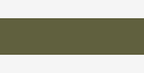 Caran d'Ache Pablo Pencils - Color - OLIVE BROWN 039