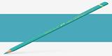 Caran d'Ache Pablo Pencils - Color - STEEL GREY 004  