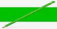 Caran d'Ache Pablo Pencils - Color - YELLOW GREEN 230