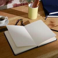 Clairefontaine Alpha Lavis Wash & Ink Sketch Books