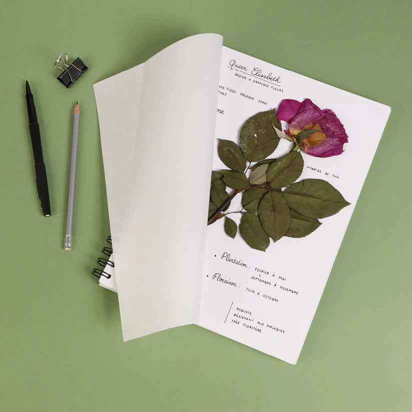 Clairefontaine Herbier Botanical Drawing Compendiums