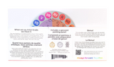 Gamblin Oil Colours Intro Set – Classic Palette with Color Wheel