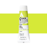 Holbein Acrylic Gouache 20ml Tubes - Colour - Leaf Green (D070) - A