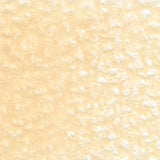 Holbein Artists' Coloured Pencils