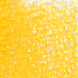 Holbein Artists' Coloured Pencils