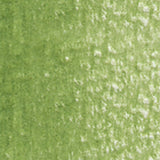 Holbein Artists' Coloured Pencils