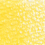 Holbein Artists' Coloured Pencils