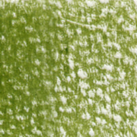 Holbein Artists' Coloured Pencils