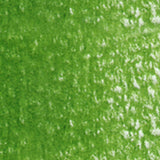 Holbein Artists' Coloured Pencils