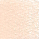 Holbein Artists' Coloured Pencils