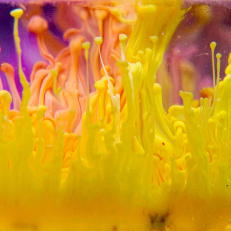 ArtResin Ink Sinker White 118.29 ml