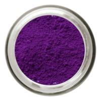 A1 Pigments - Neon Series - 20 gram