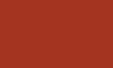 Caran d'Ache Pablo Pencils - Color - PABLO RUSSET 065