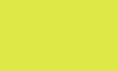 Caran d'Ache Pablo Pencils - Color - LIME GREEN 231