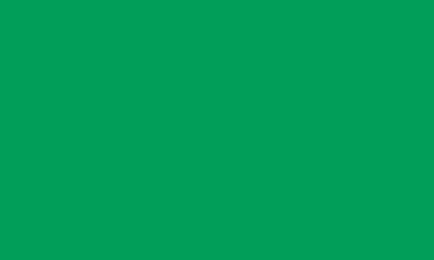 Caran d'Ache Pablo Pencils - Color - PEACOCK GREEN 460