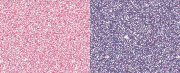 Jacquard Pearl Ex Pigments 3g Jar